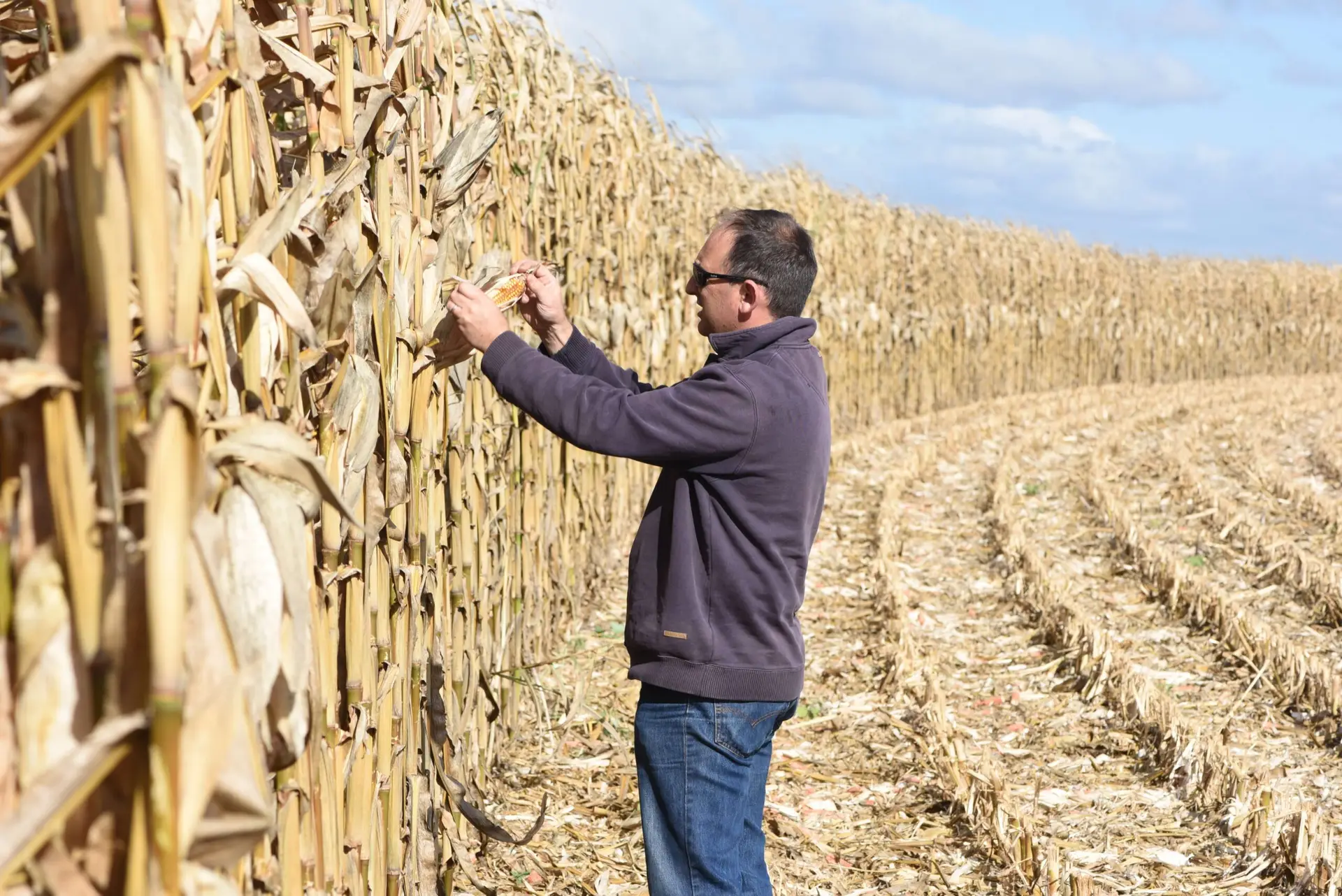 Jason Scott with Corn crop