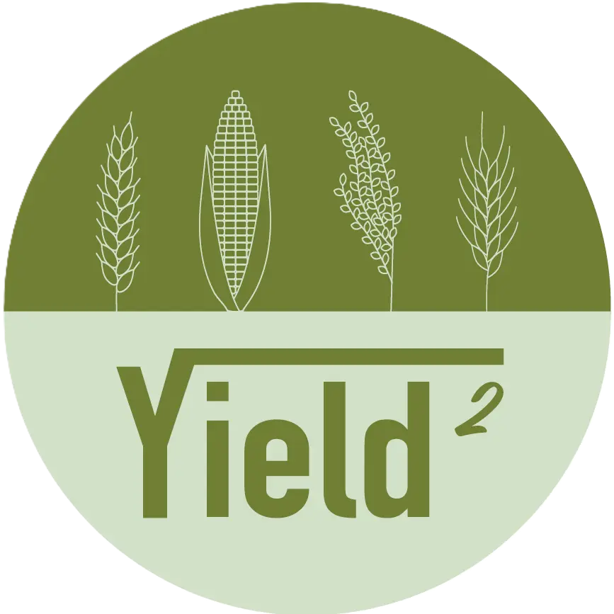 Yield 2